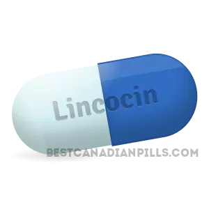 Membeli_Lincocin_dalam_talian